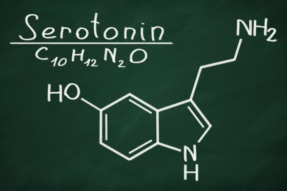 CBD by mohlo být klíčové při udržování správné hladiny serotoninu, zdroj: parkinsonsmovement.com